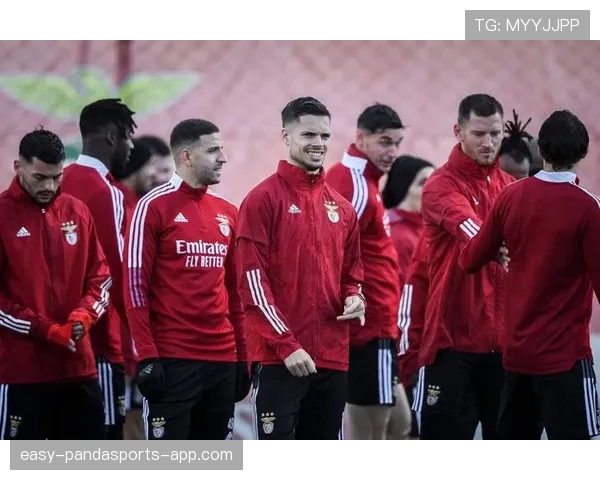 努涅斯本菲卡时期进攻效率含金量解析：数据背后的终结能力与战术适配性